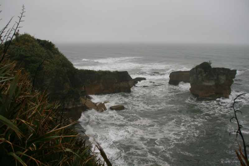 Nieuw-Zeeland 2011 - 1305